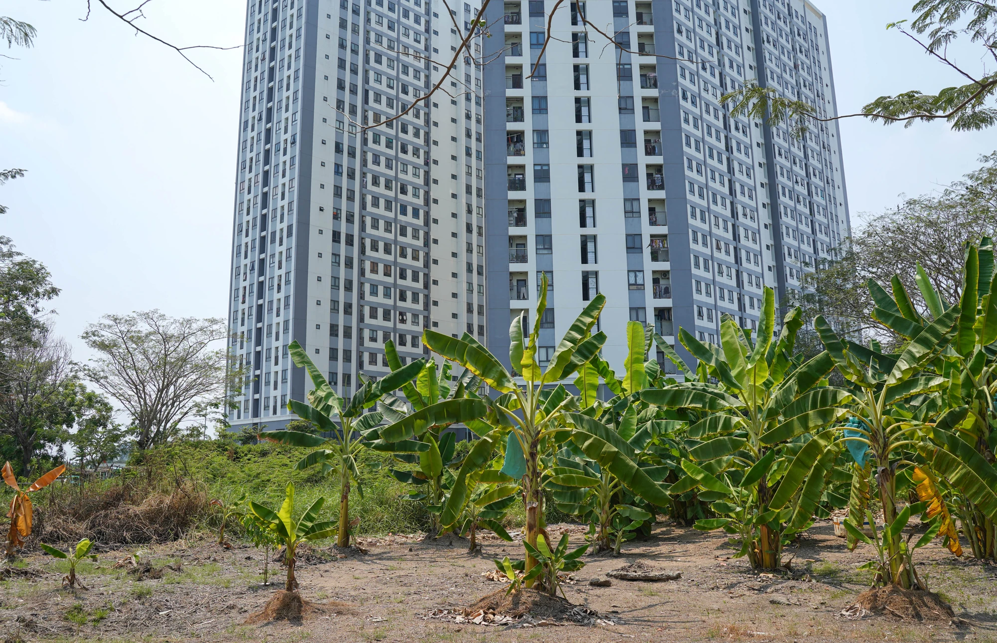 Khu Nam 13E (1).jpg