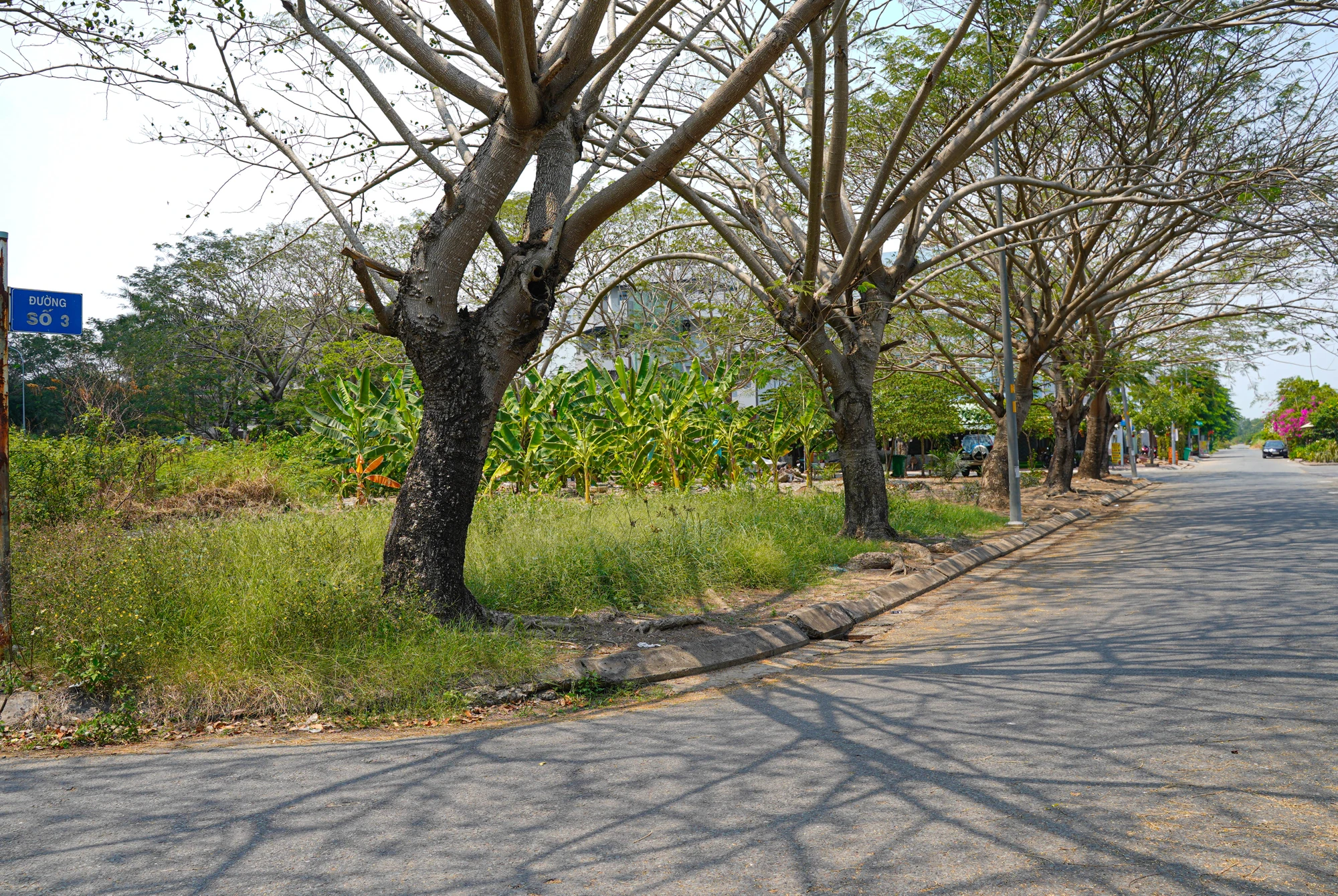 Khu Nam 13E (4).jpg