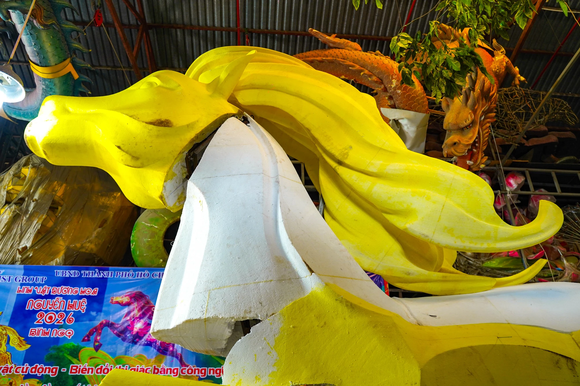 đường hoa Nguyễn Huệ (8).jpg