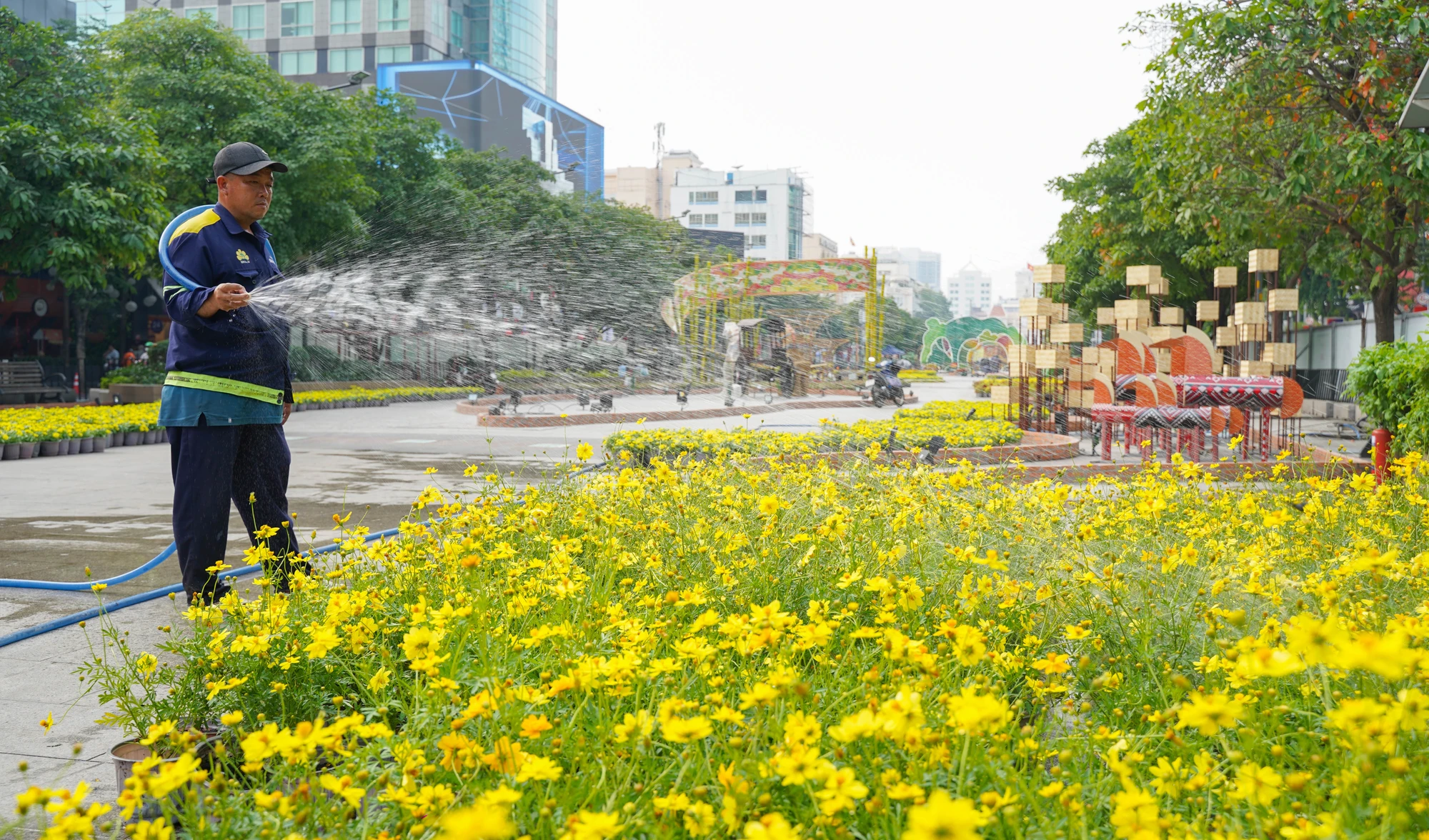 đường hoa Nguyễn Huệ (3).jpg