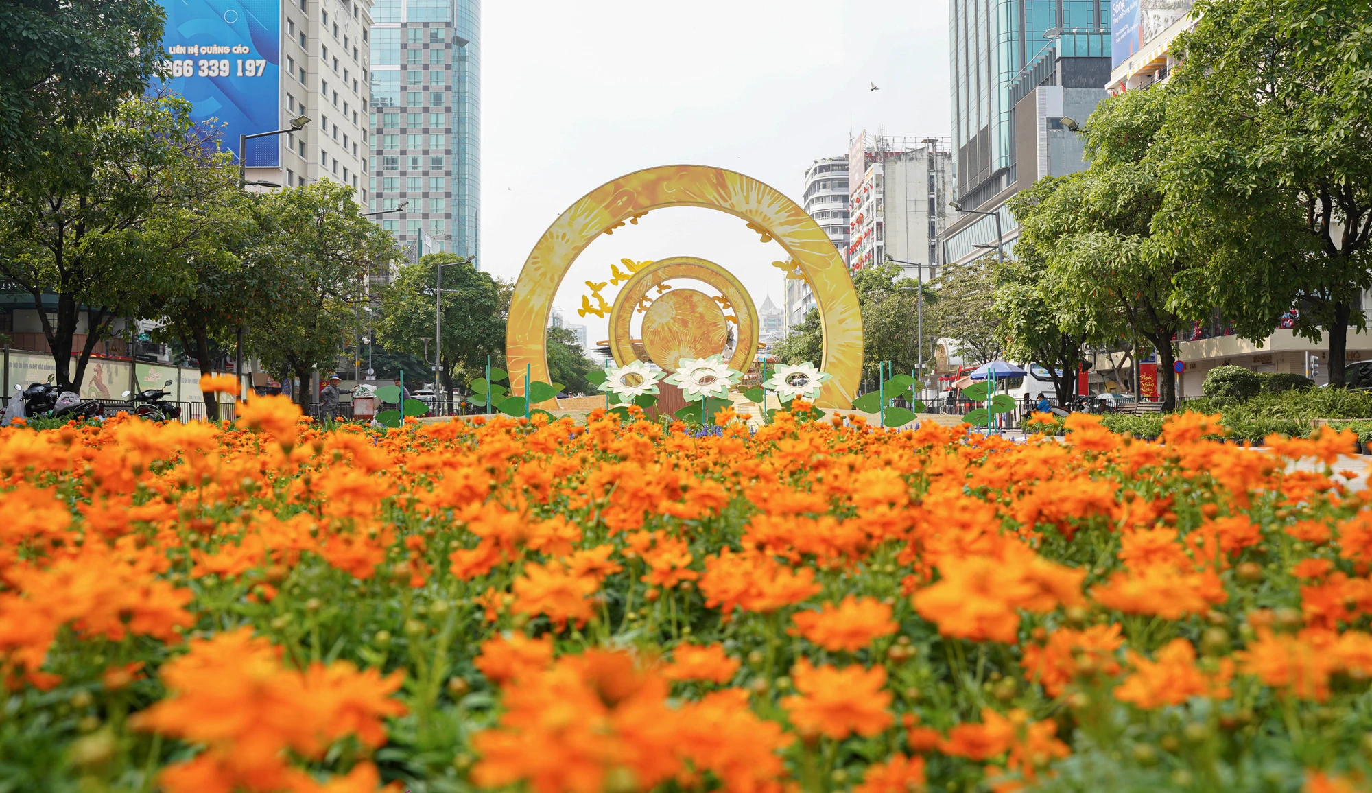 đường hoa Nguyễn Huệ (37).jpg