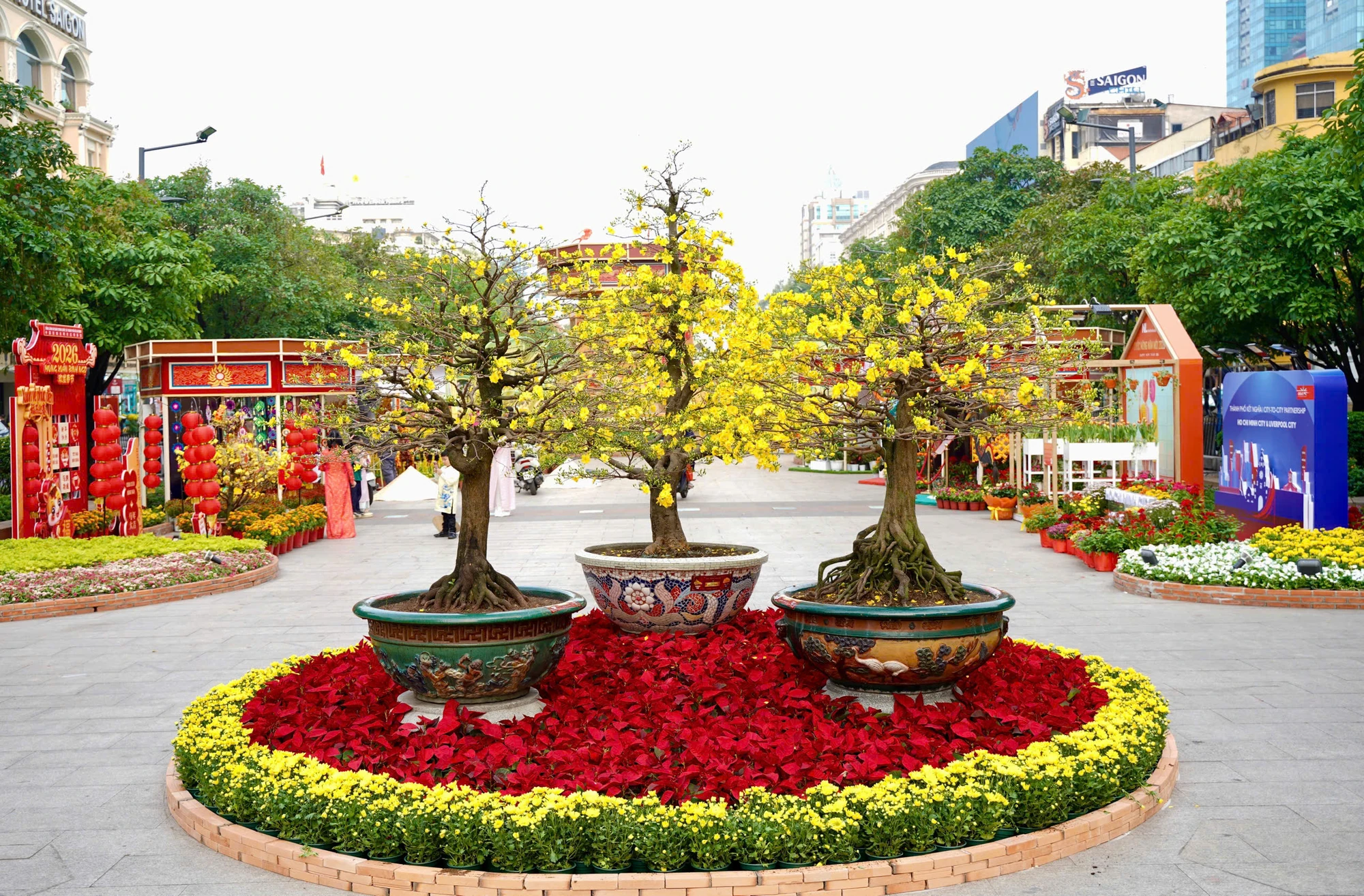 Đường hoa Nguyễn Huệ (7).jpg