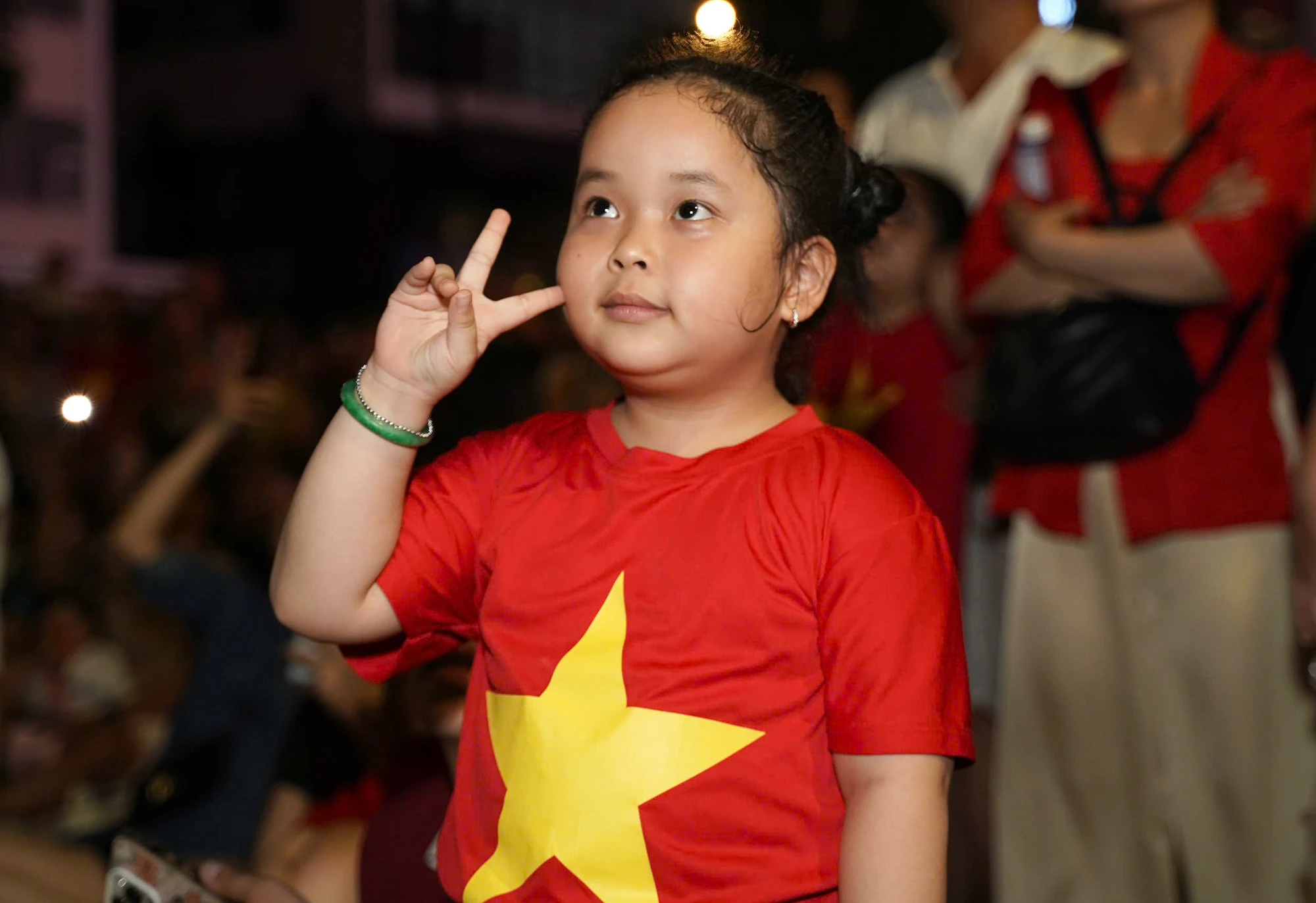 Pháo hoa (10).jpg