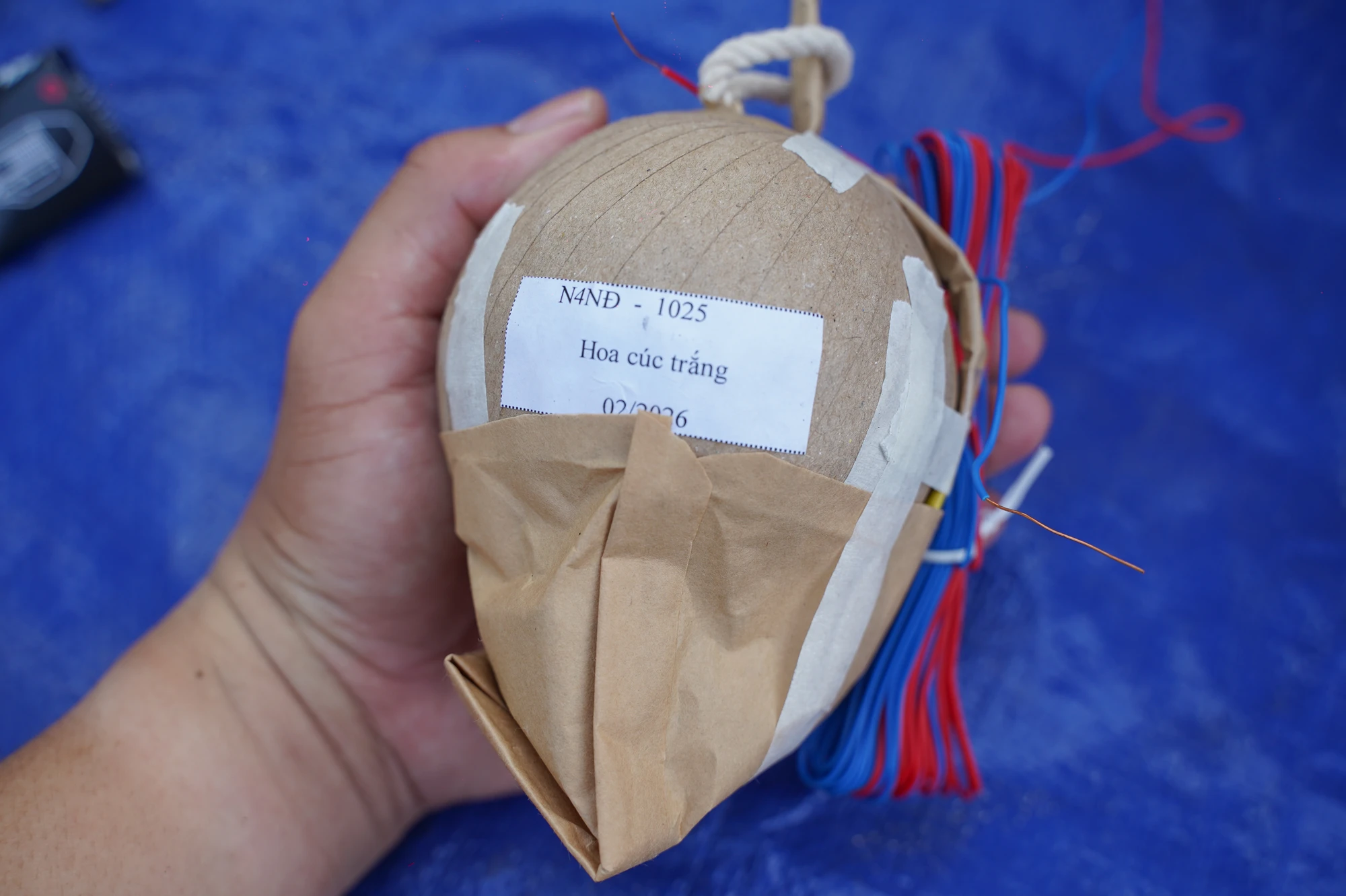 pháo hoa (5).jpg