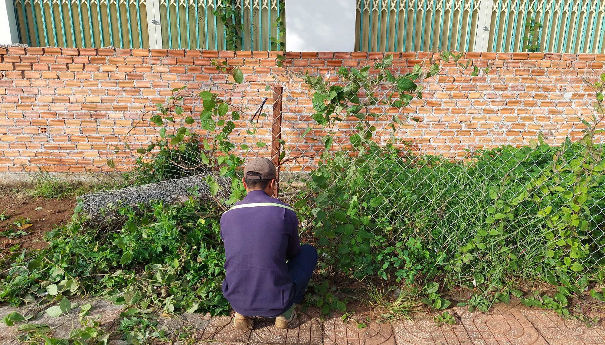 Cắt bờ tường rào lưới B40. Ảnh: VQ Cắt bờ tường rào lưới B40. Ảnh: VQ