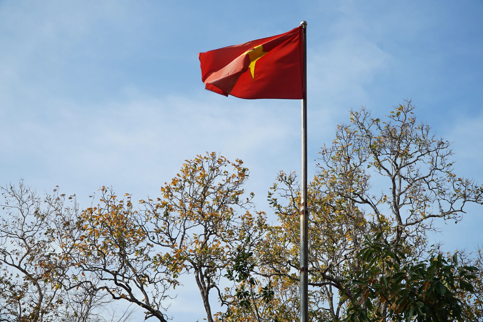 bên châu Âu.JPG