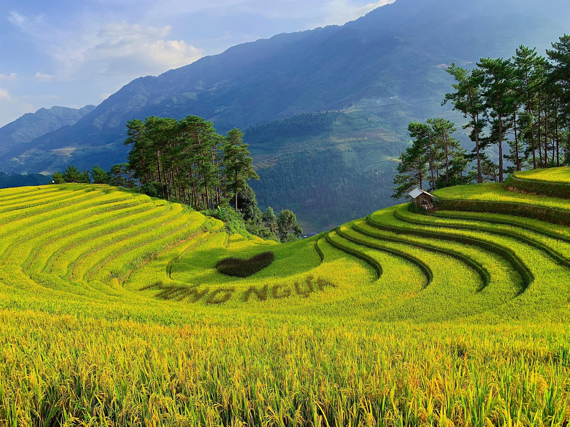 Vành Móng Ngựa. Vành Móng Ngựa.