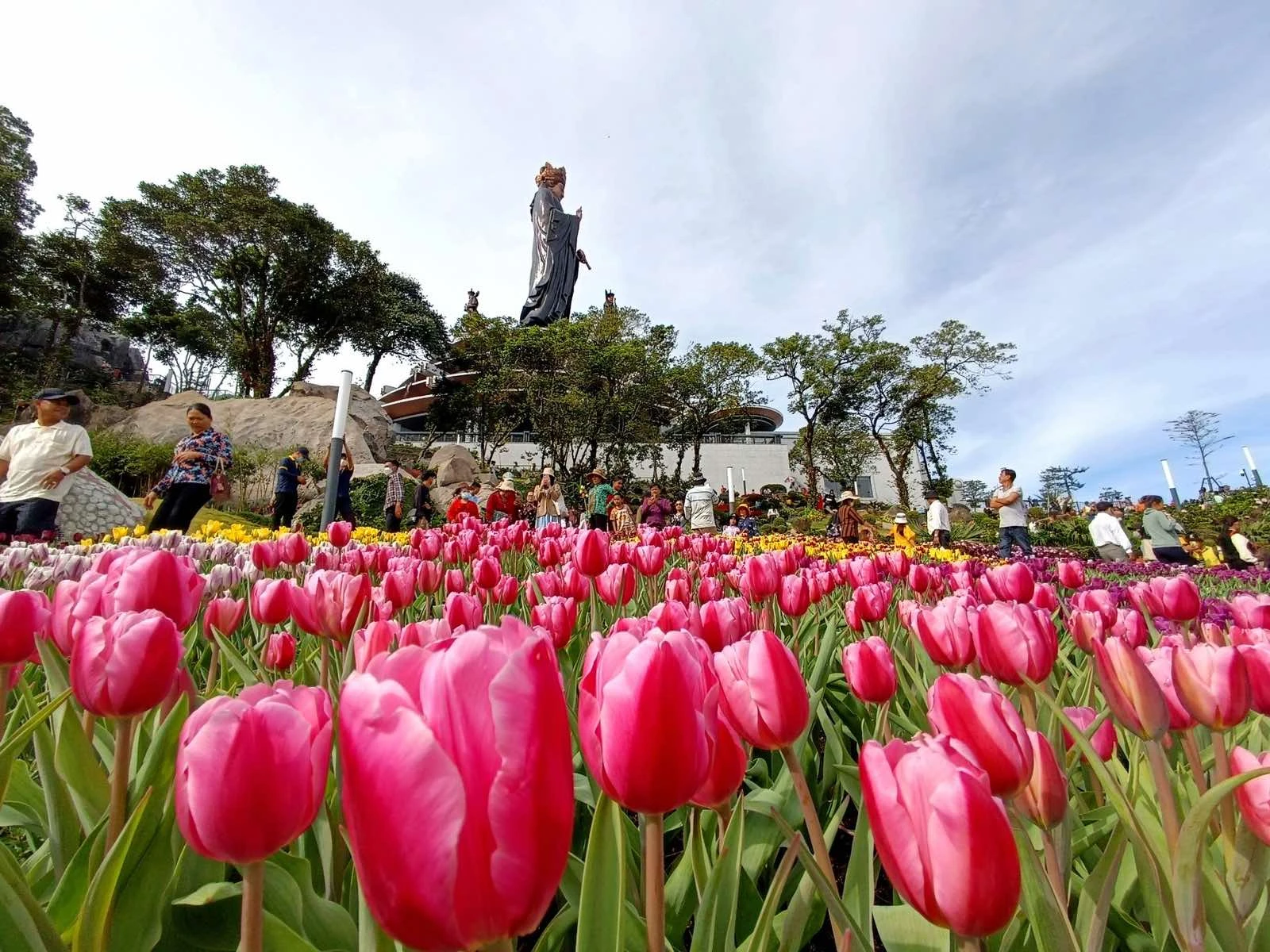 Hoa tulip nở rộ trên đỉnh núi Bà Đen. Đây là khu vực thu hút rất đông du khách check in và lưu lại những tấm hình làm kỷ niệm. Hoa tulip nở rộ trên đỉnh núi Bà Đen. Đây là khu vực thu hút rất đông du khách check in và lưu lại những tấm hình làm kỷ niệm.