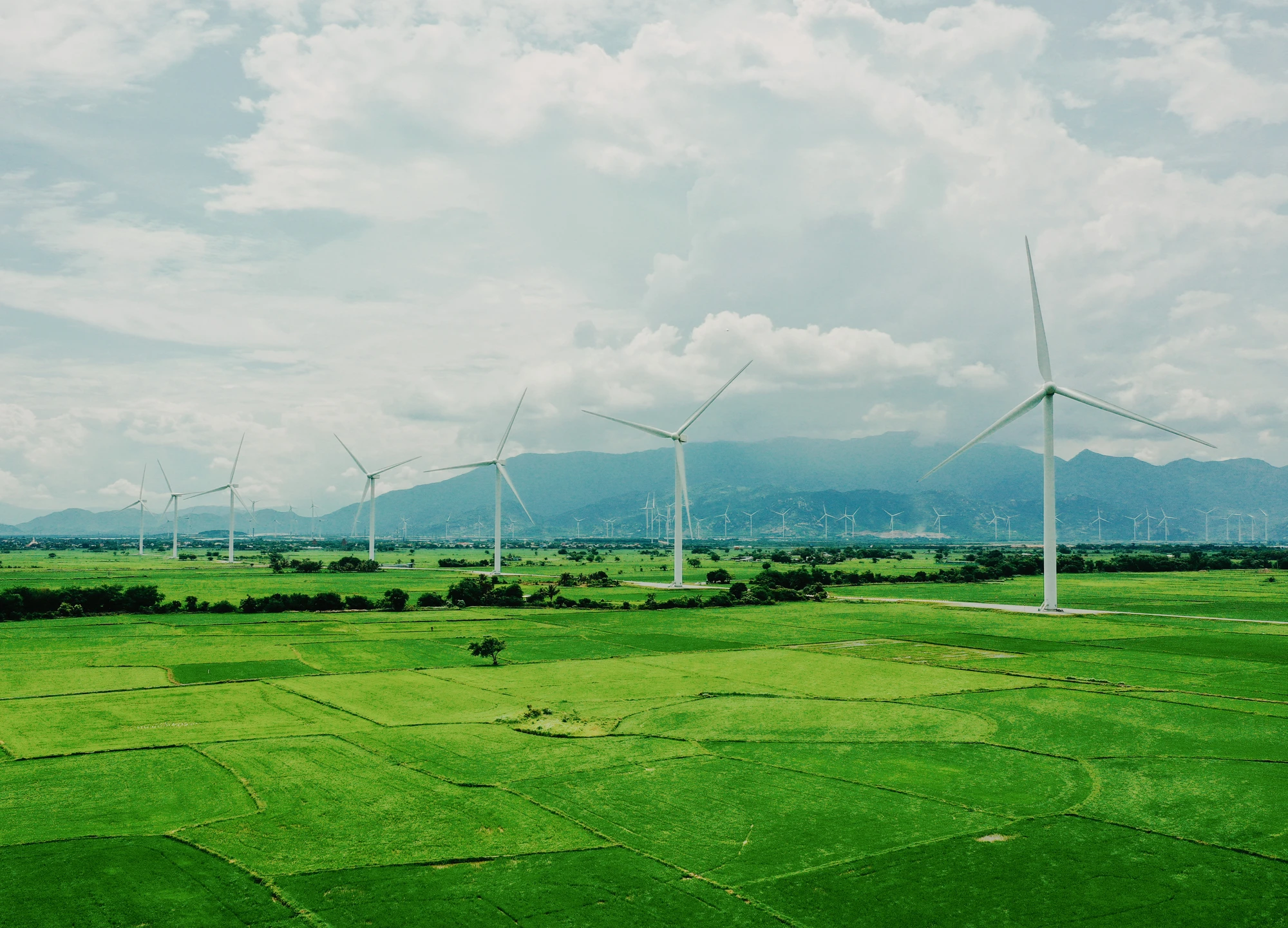 Ninh-Thuan-4.jpg