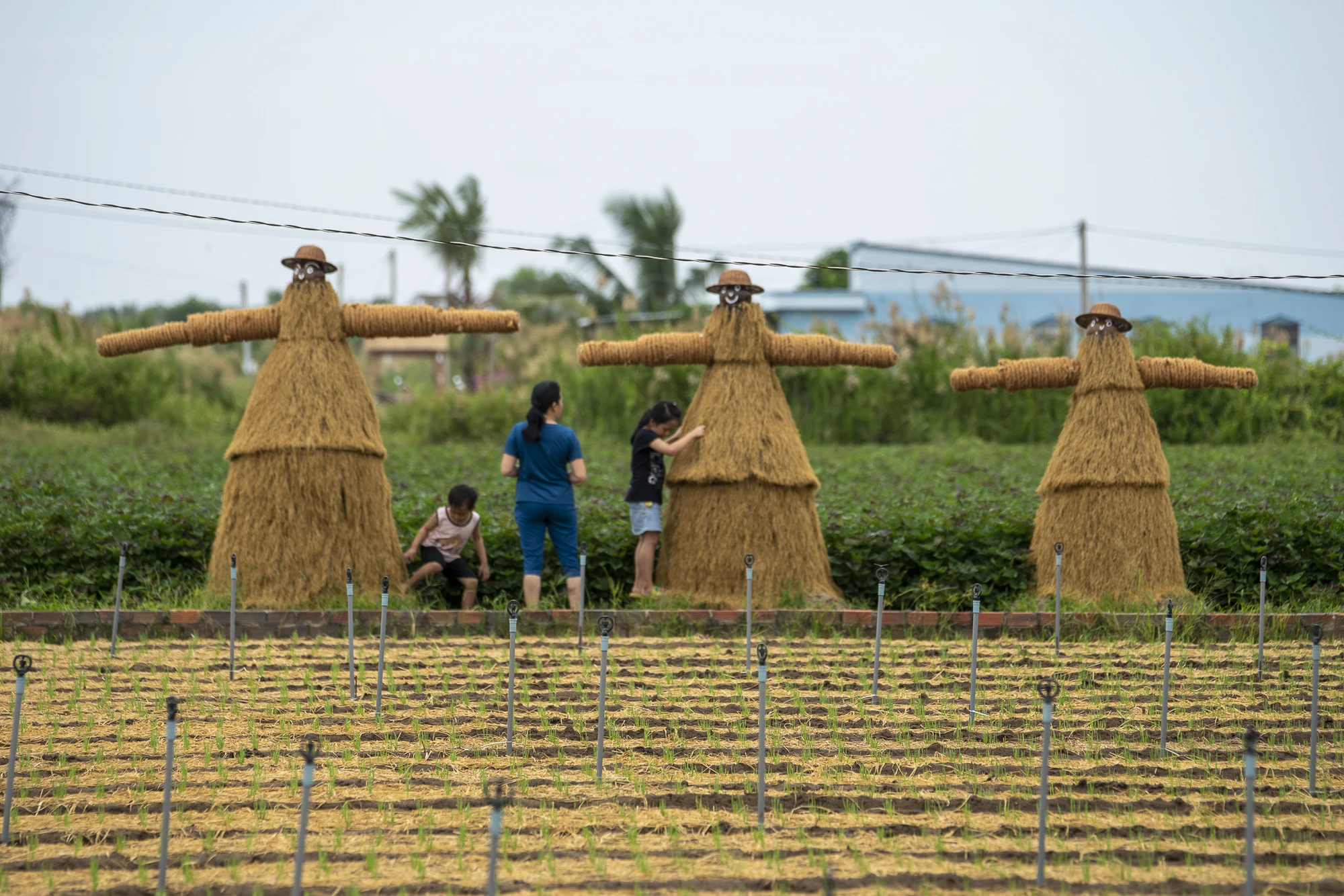 _DSC4205 gửi khách.jpg