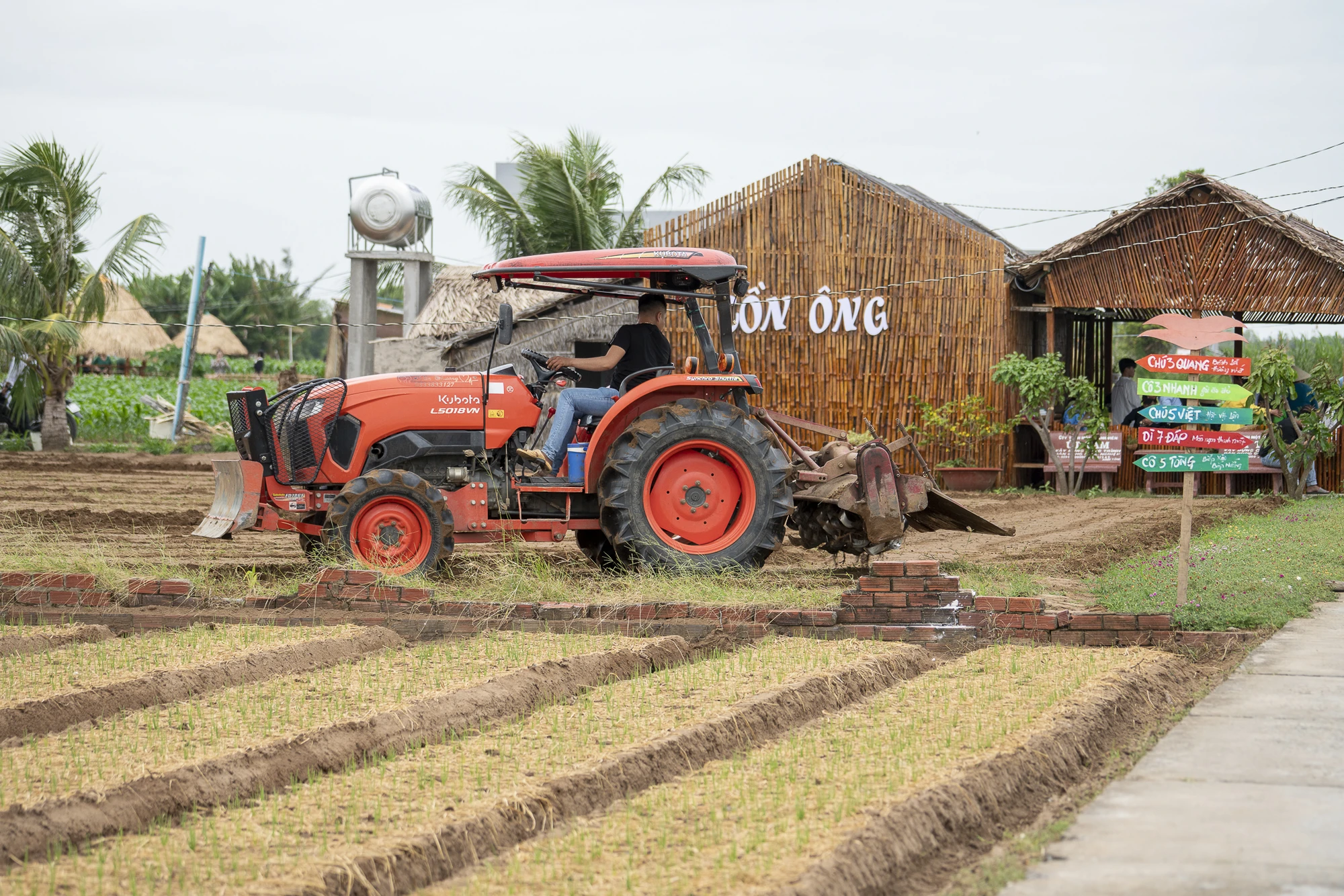 du lịch canh nông ở Trà Vinh