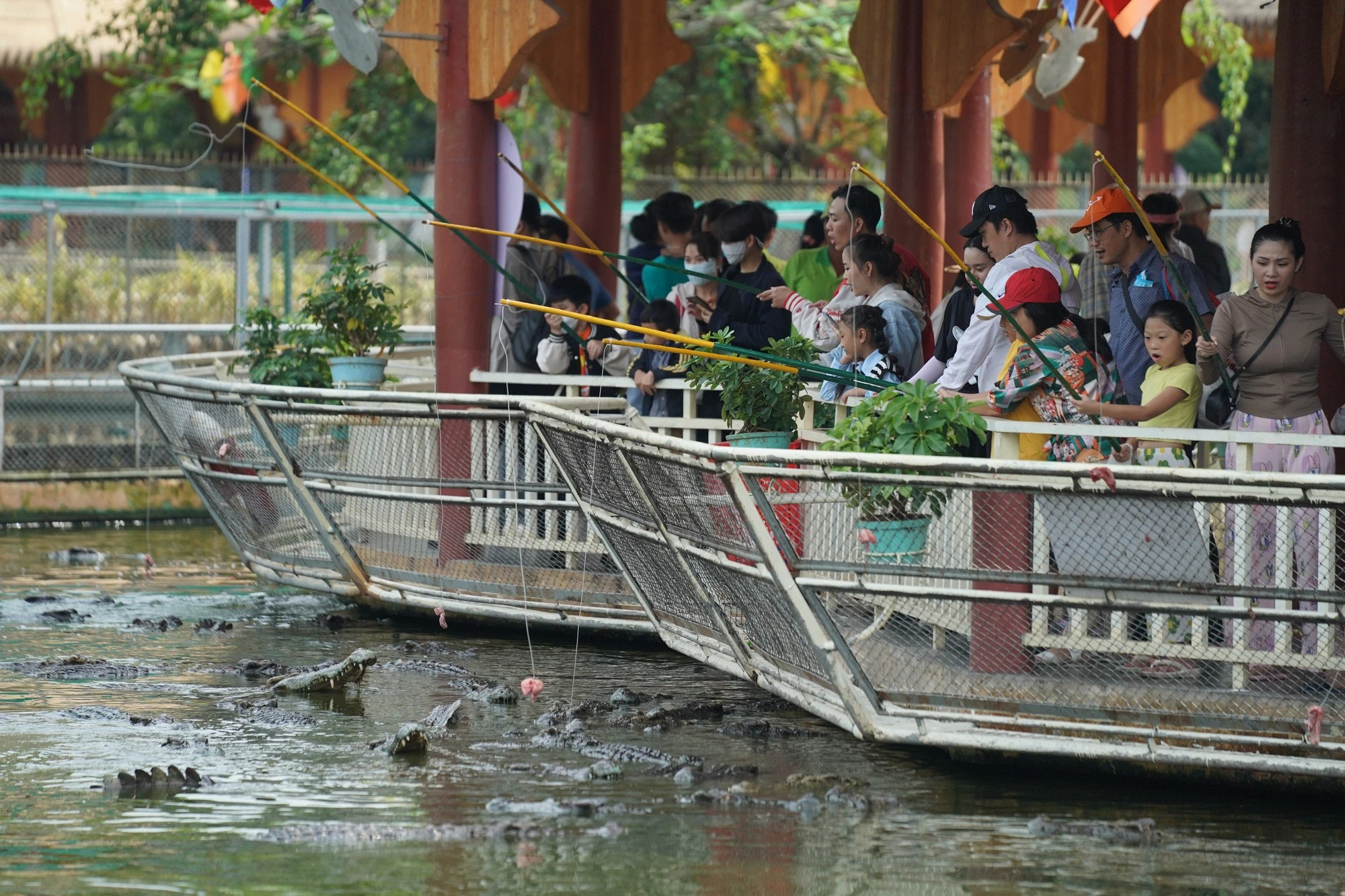 tet-duong-lich-1-9259.jpg