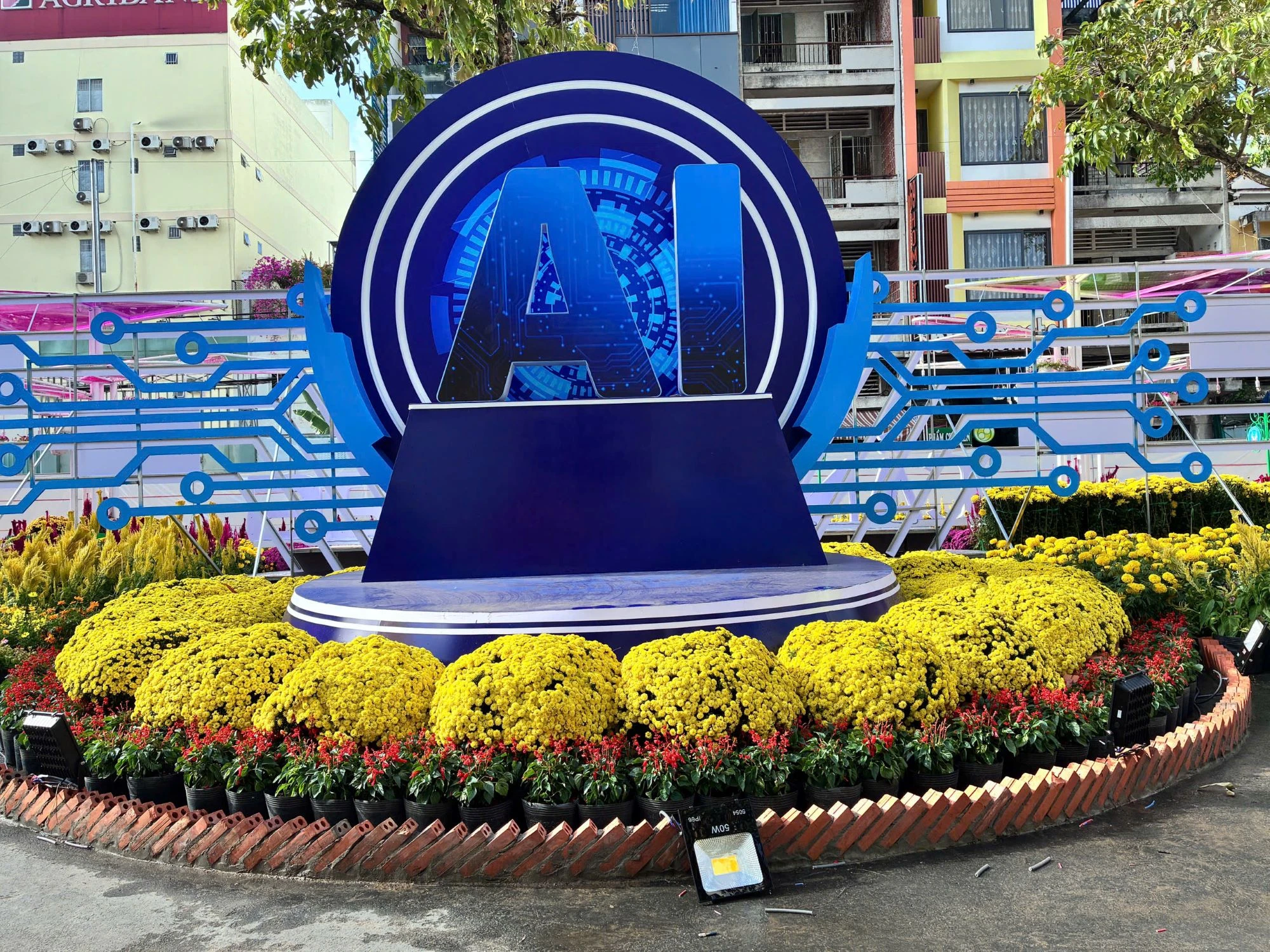 duong-hoa-can-tho-15.JPG