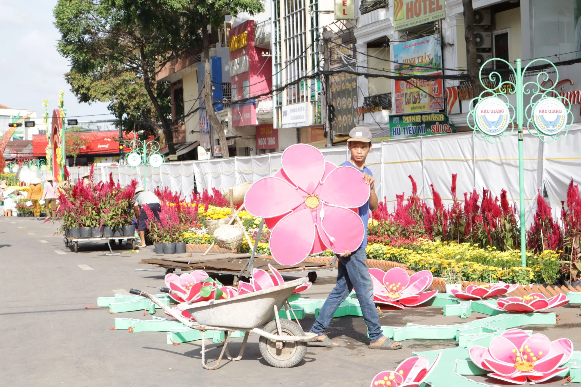 duong-hoa-can-tho-9.JPG