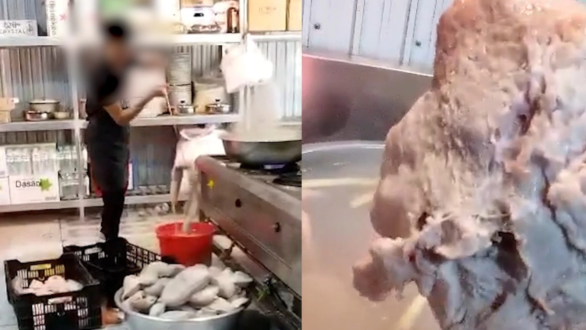 Vú heo được mang lên bếp luộc, rửa. Vú heo được mang lên bếp luộc, rửa.