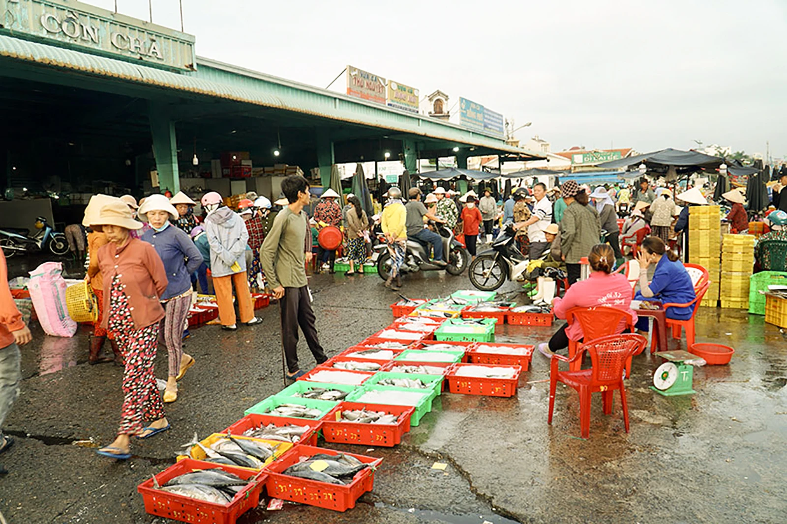 Cảng cá Phan Thiết nhộn nhịp khi các tàu cập bến, đưa hải sản lên bờ.