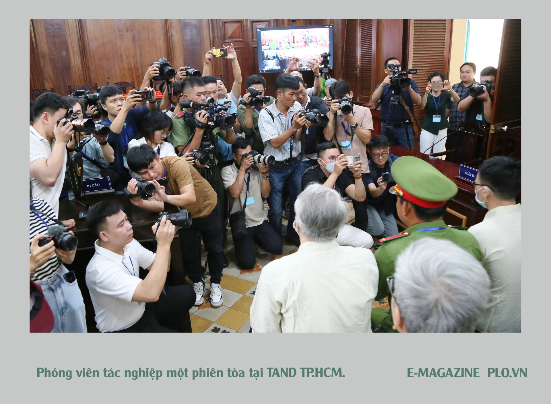 bao-phap-luat-tp-5-9595-4383.png