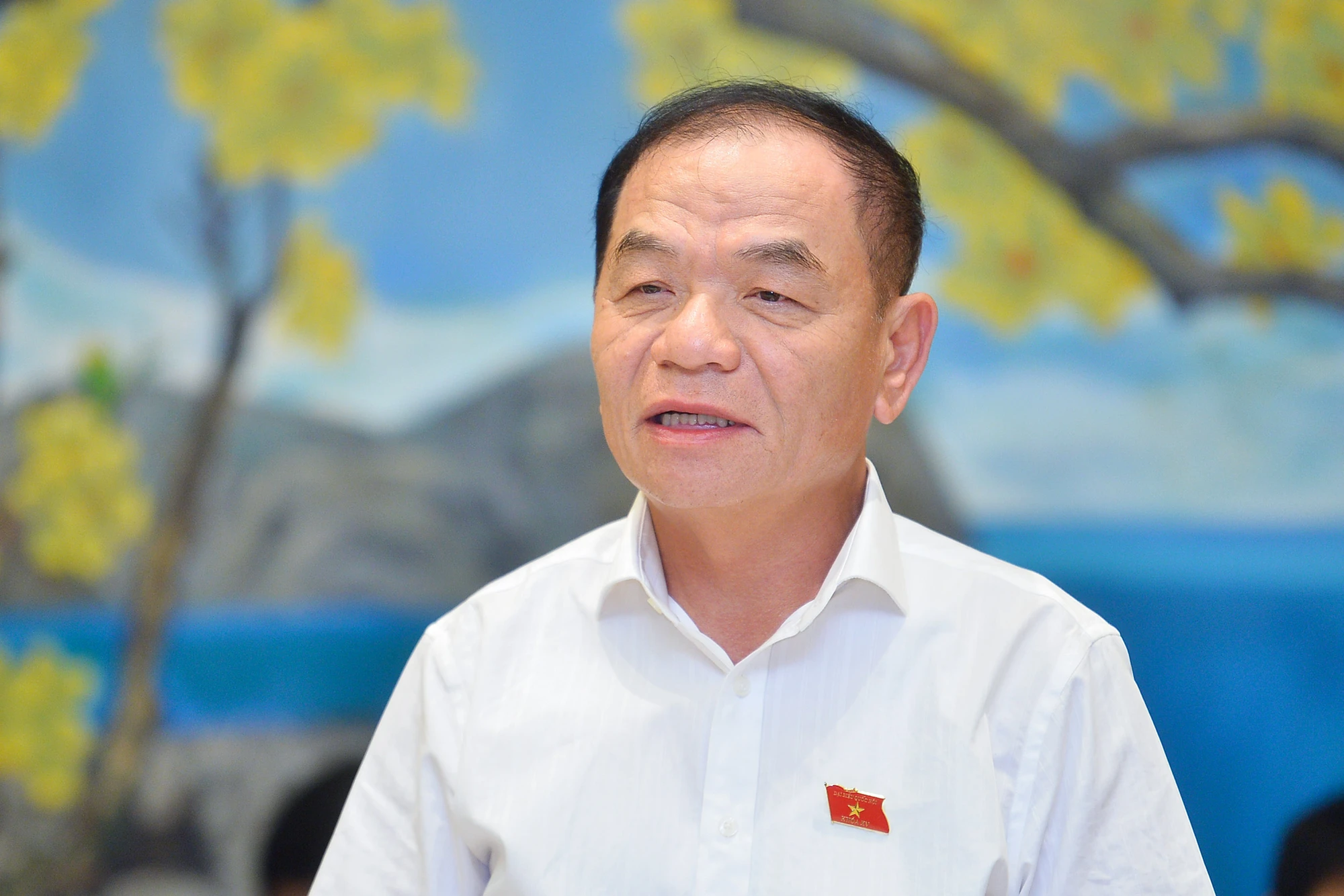p3-le-thanh-van.jpg