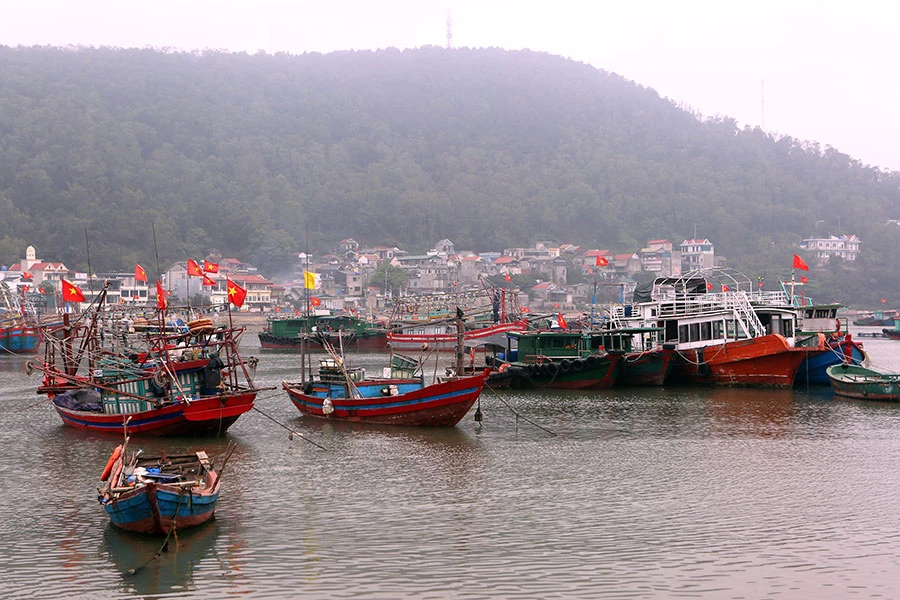 P23_Bai-chinh_h2.jpg