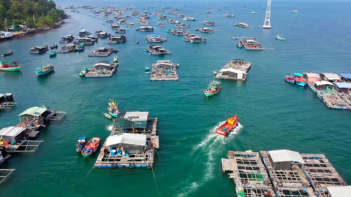 P23_Chinh_h2.jpg
