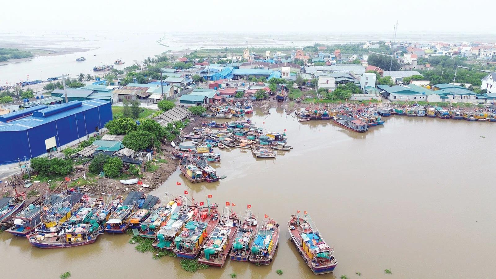 P23_ASD_Chinh_h2.jpg
