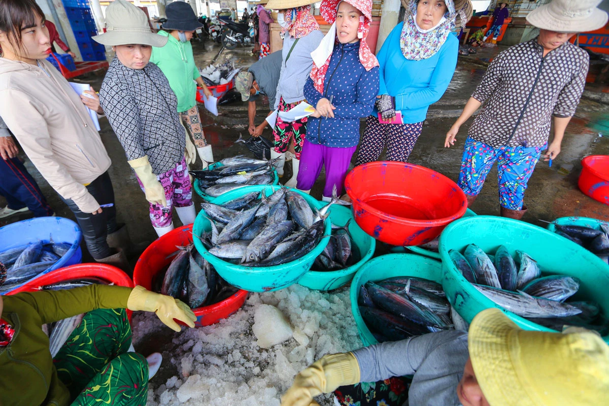 P23_Chuyen-de-2_Cot-phai_h5.jpg