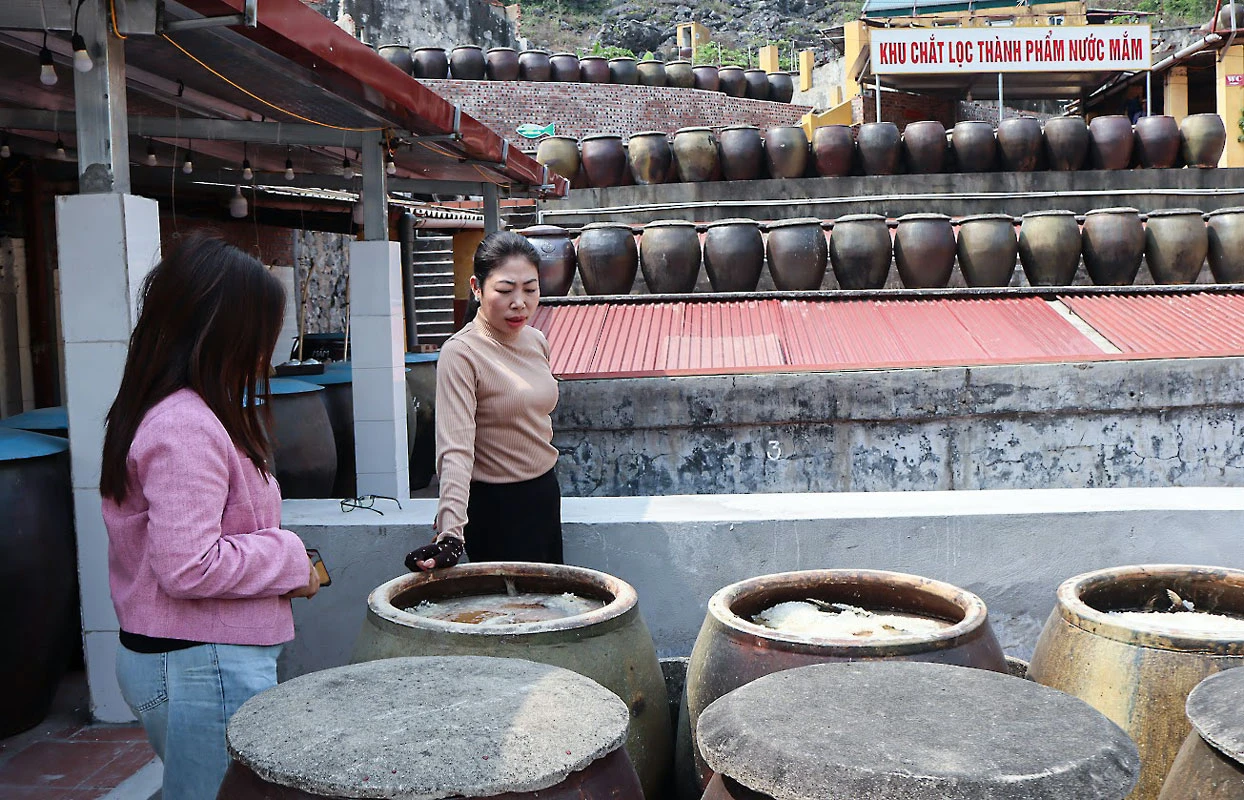P23_Chan-trang.jpg