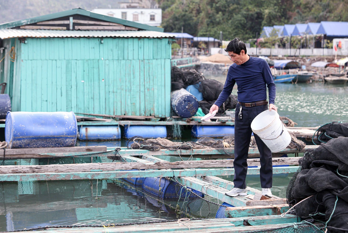 P23_Chinh_h2.jpg