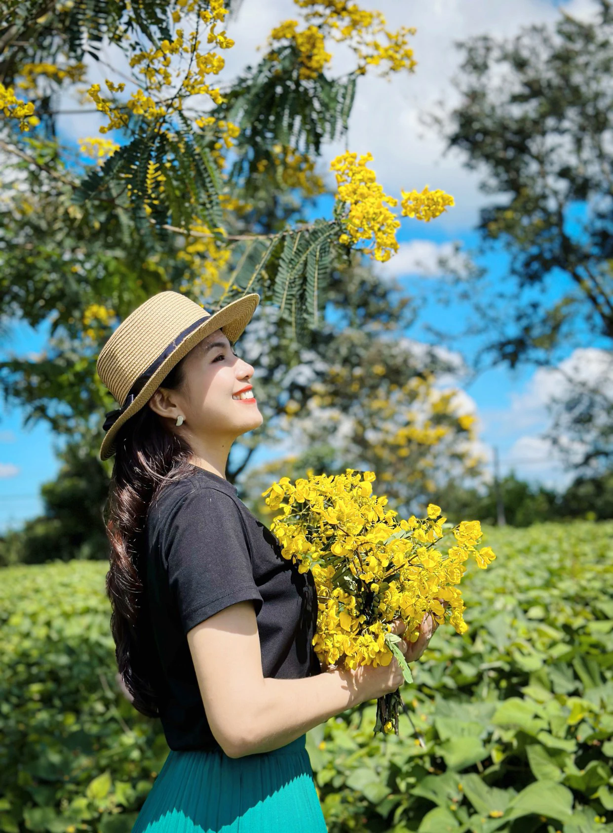 Hoa muồng vàng