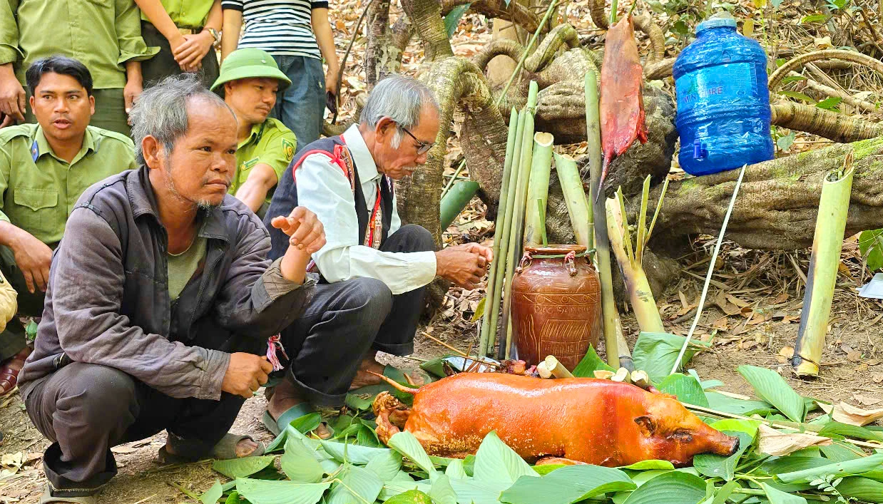 Nghi-le-cung-than-rung-Gia-Lai-1.jpg