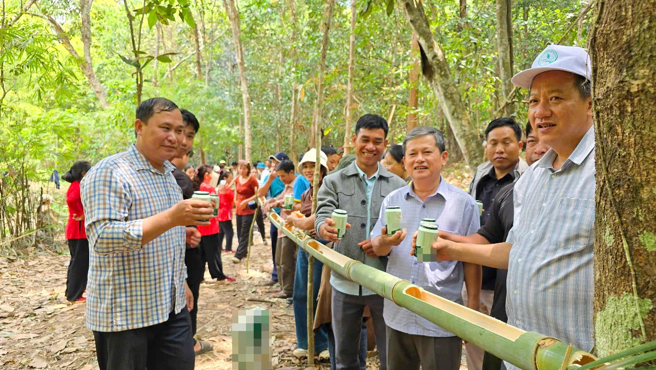 Nghi-le-cung-than-rung-Gia-Lai-7.jpg