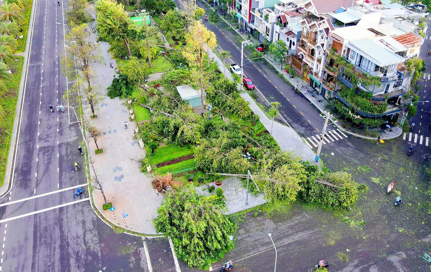 Tan hoang "lá phổi xanh" Quy Nhơn