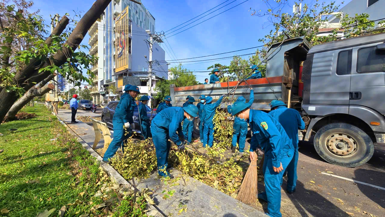 la-phoi-xanh-Quy-Nhon-bi-rut-oxi-6.jpg