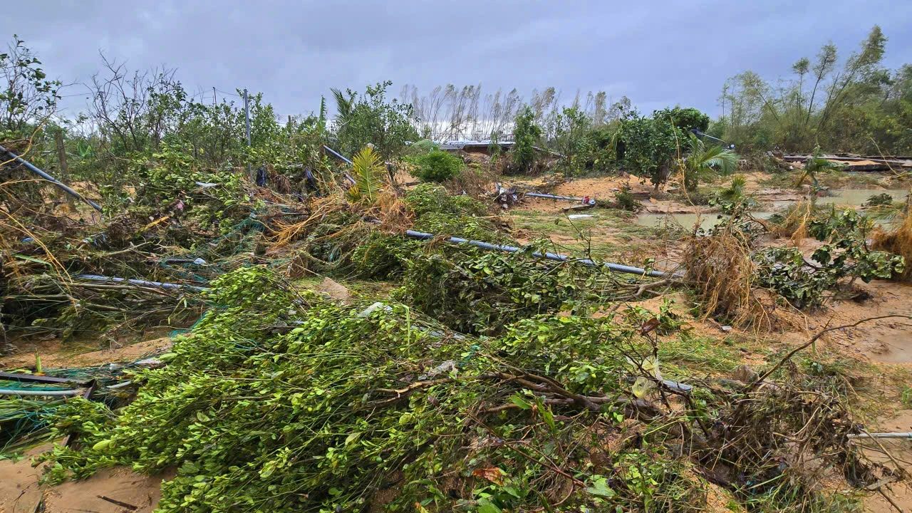 Vo-de-Van-Hoi-1-xa-Tuy-Phuoc-Gia-Lai-4.jpg