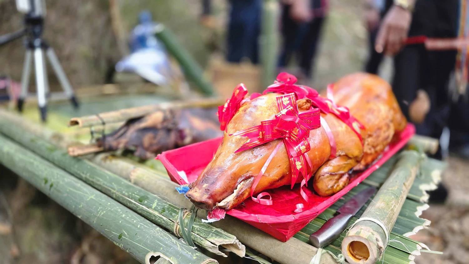 Nghi-le-cung-rung-cua-nguoi-Jrai-15.jpg