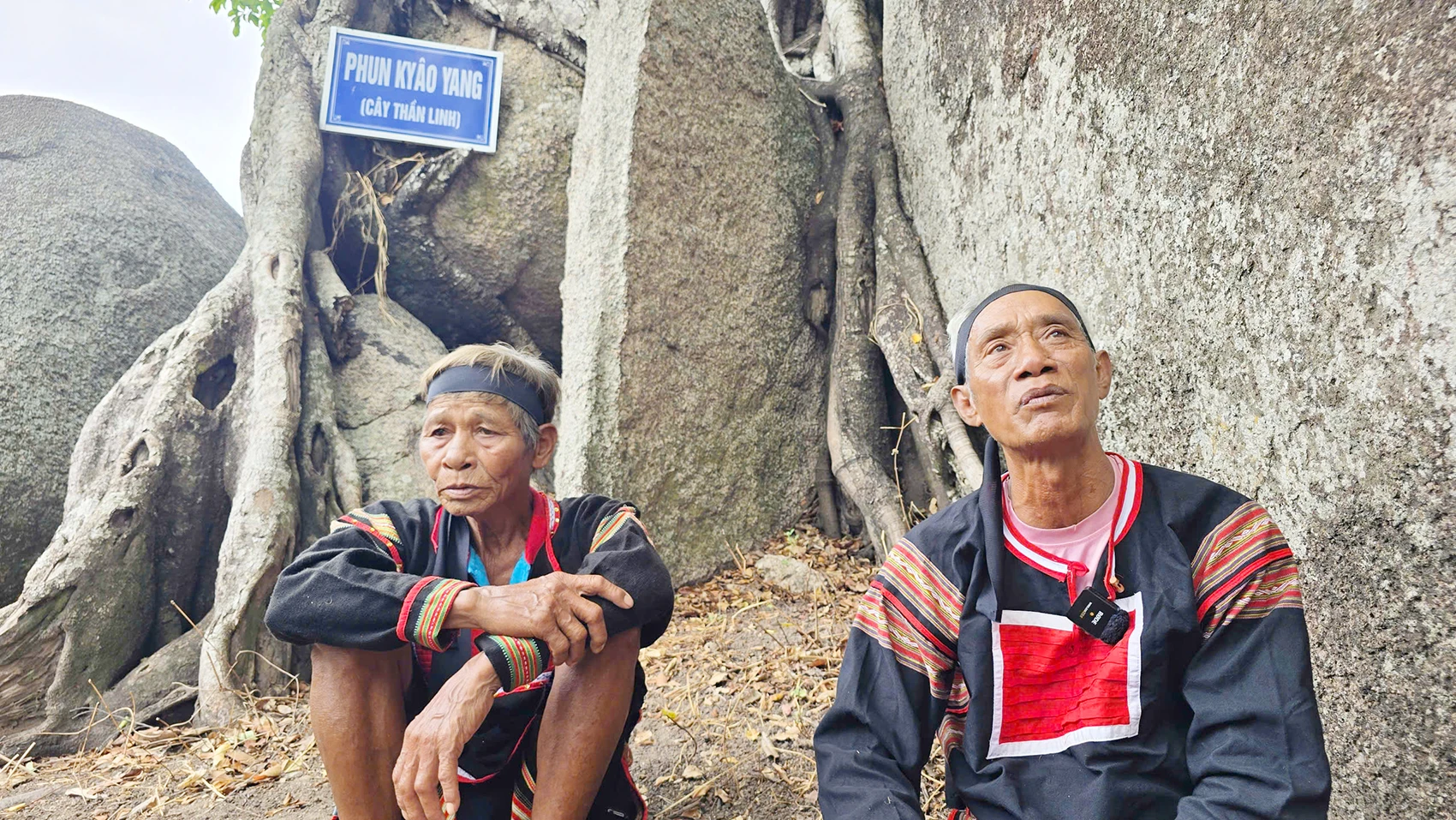 Nghi-le-cau-mua-Vua-Lua-Gia-Lai-5.jpg