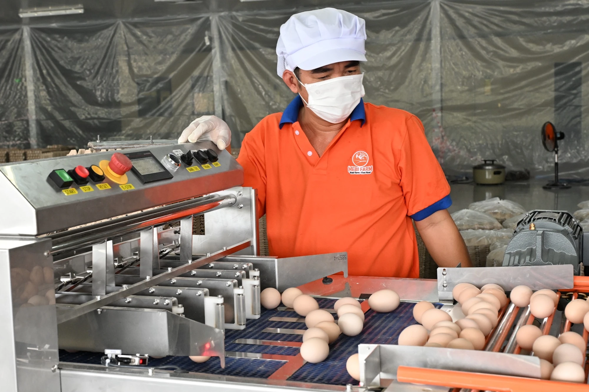 Thay tư duy quản lý kiểm soát bằng tư duy hỗ trợ doanh nghiệp