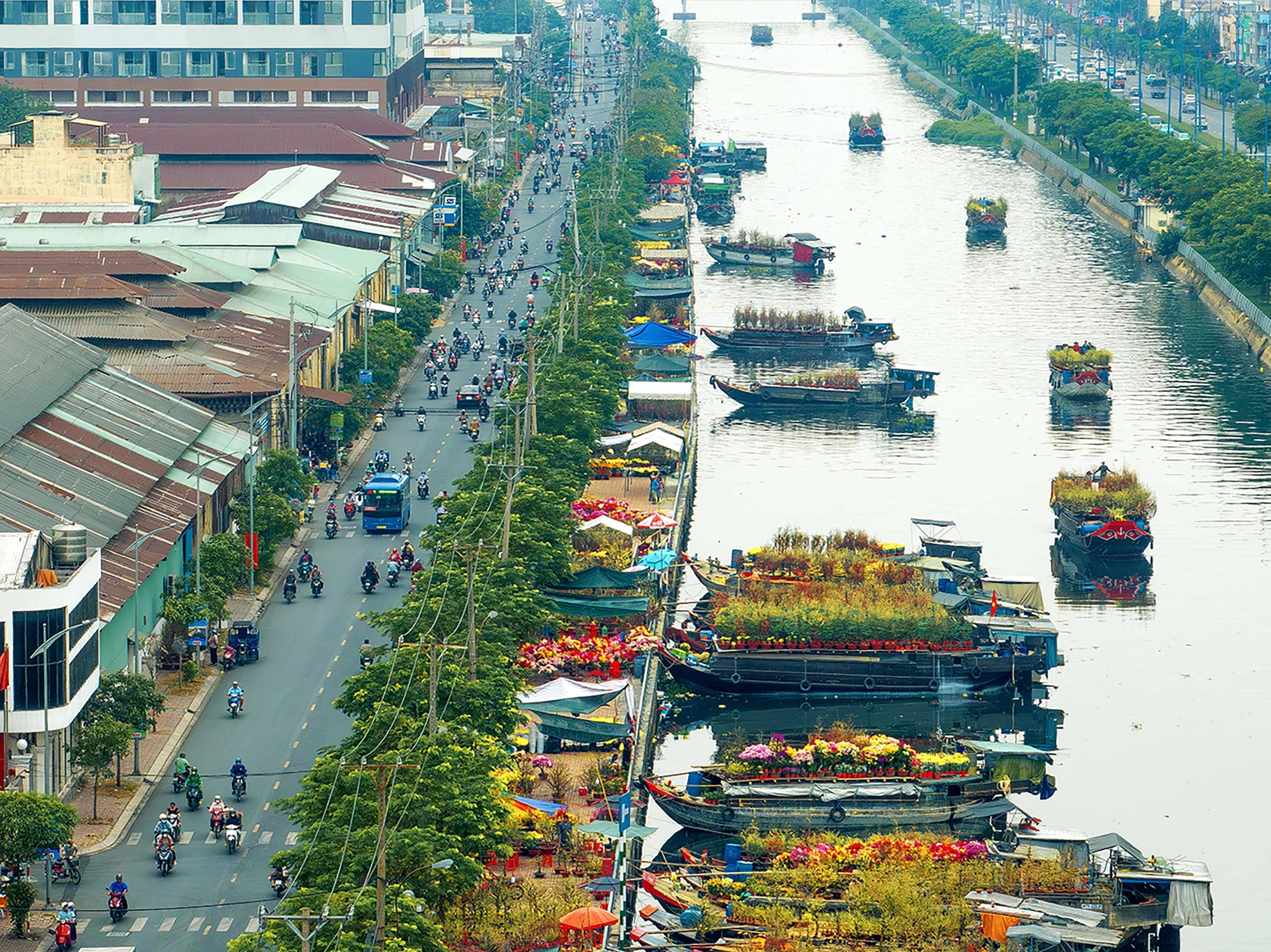 P1213_Chinh_h3.jpg