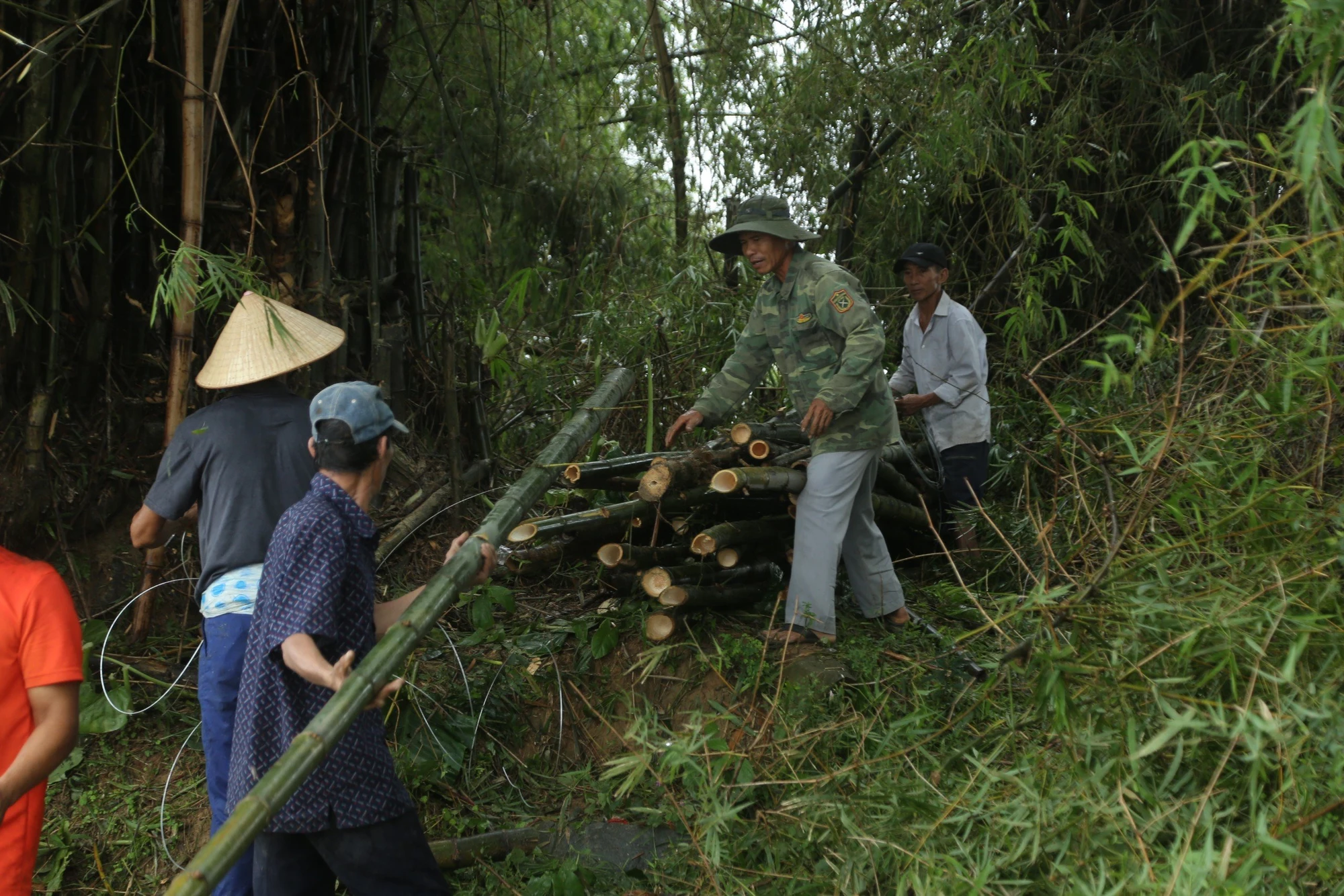 200-nguoi-va-doan-song-sat-lo-11.jpg