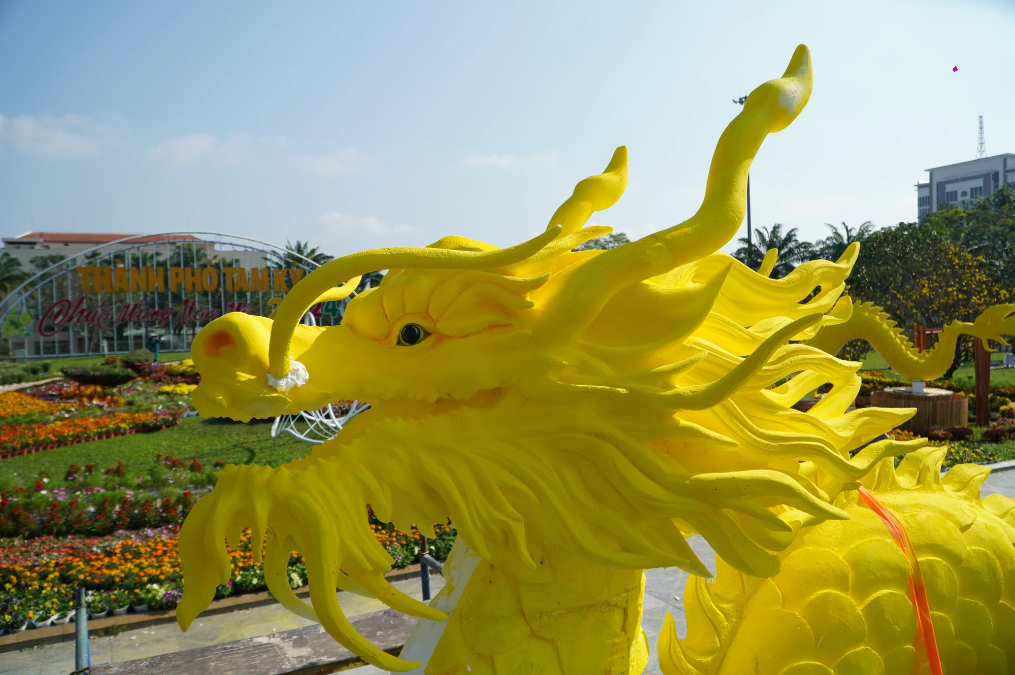 linh-vat-rong-vang-Quang-Nam-10.JPG