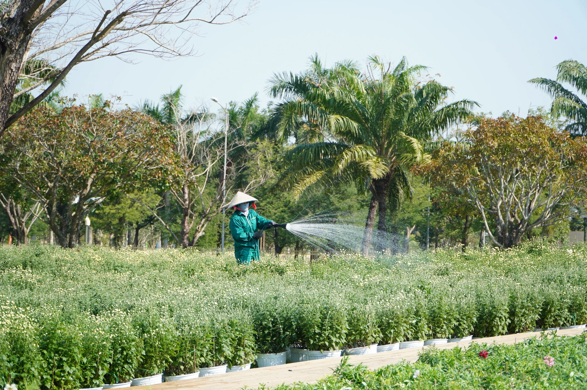 linh-vat-rong-vang-Quang-Nam-15.JPG