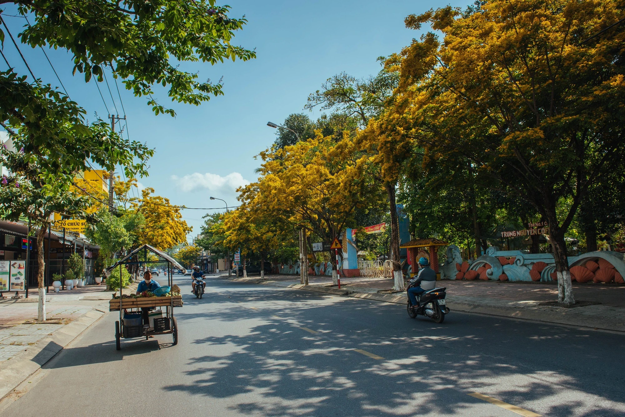 sua-vang-Quang-Nam-cay-di-san-9.jpeg