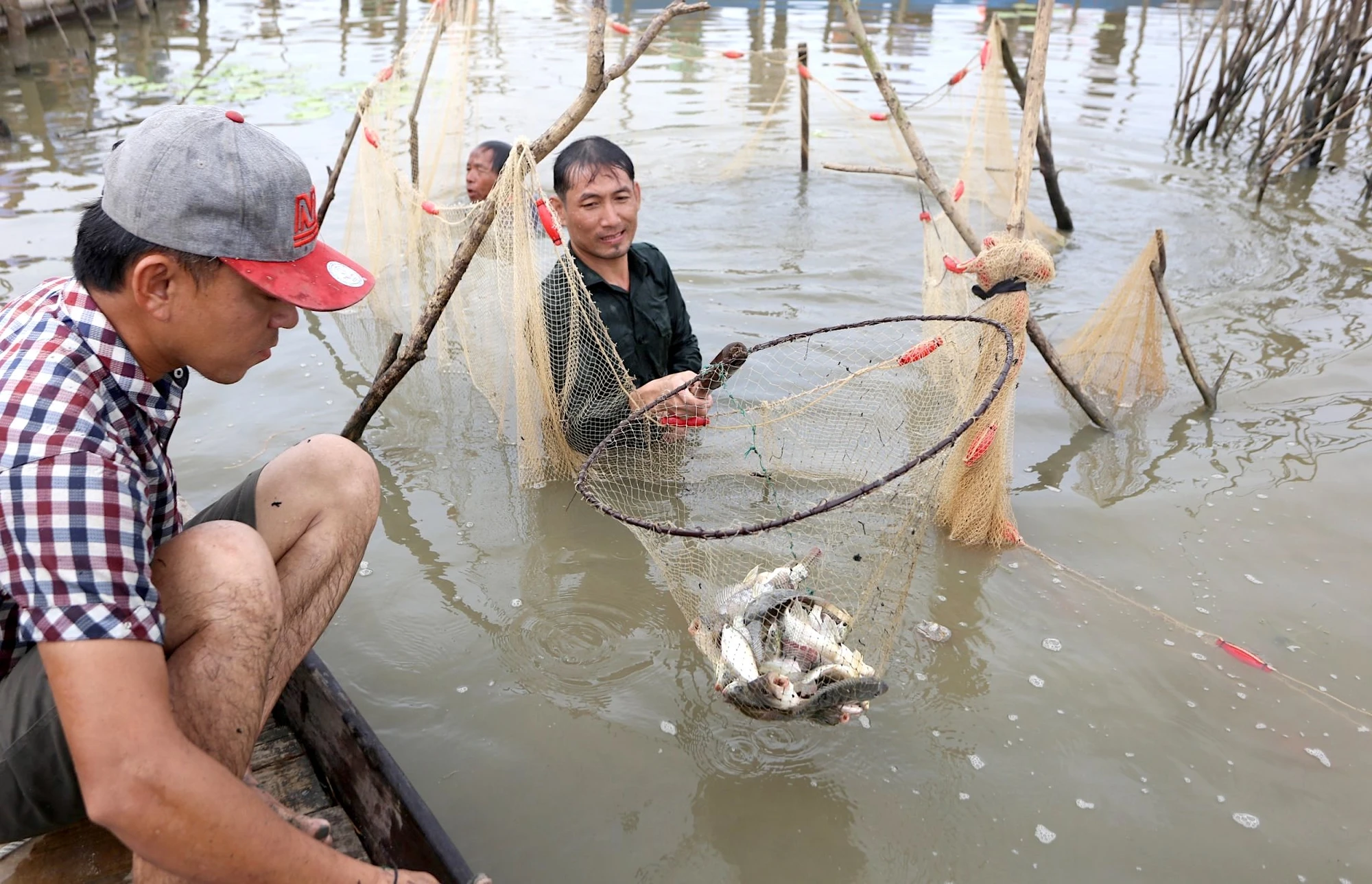 He-sinh-thai-quy-hiem-song-dam-51.jpeg