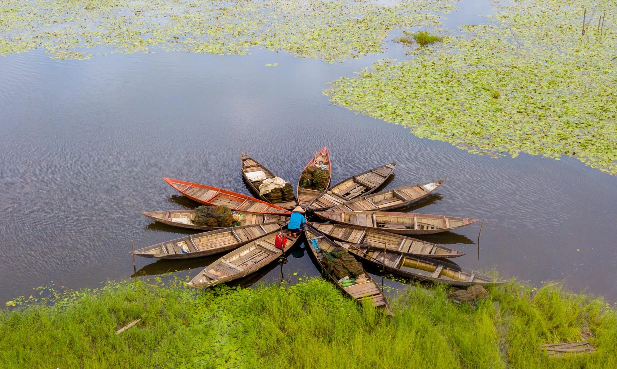 He-sinh-thai-quy-hiem-song-dam-56.jpeg