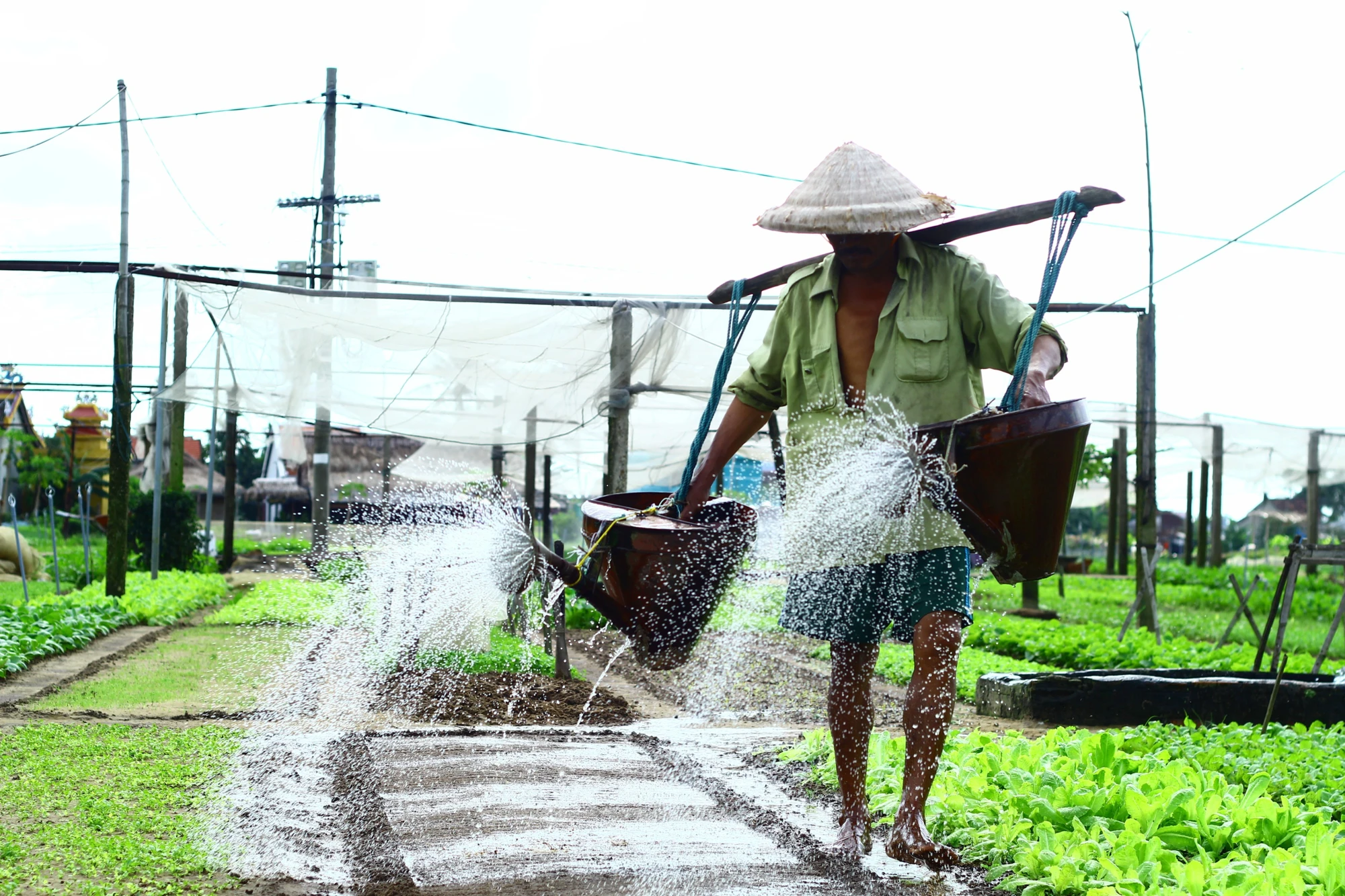 Đây là ngôi làng thứ 3 của Việt Nam được công nhận là Làng du lịch tốt nhất thế giới. Ảnh: TH