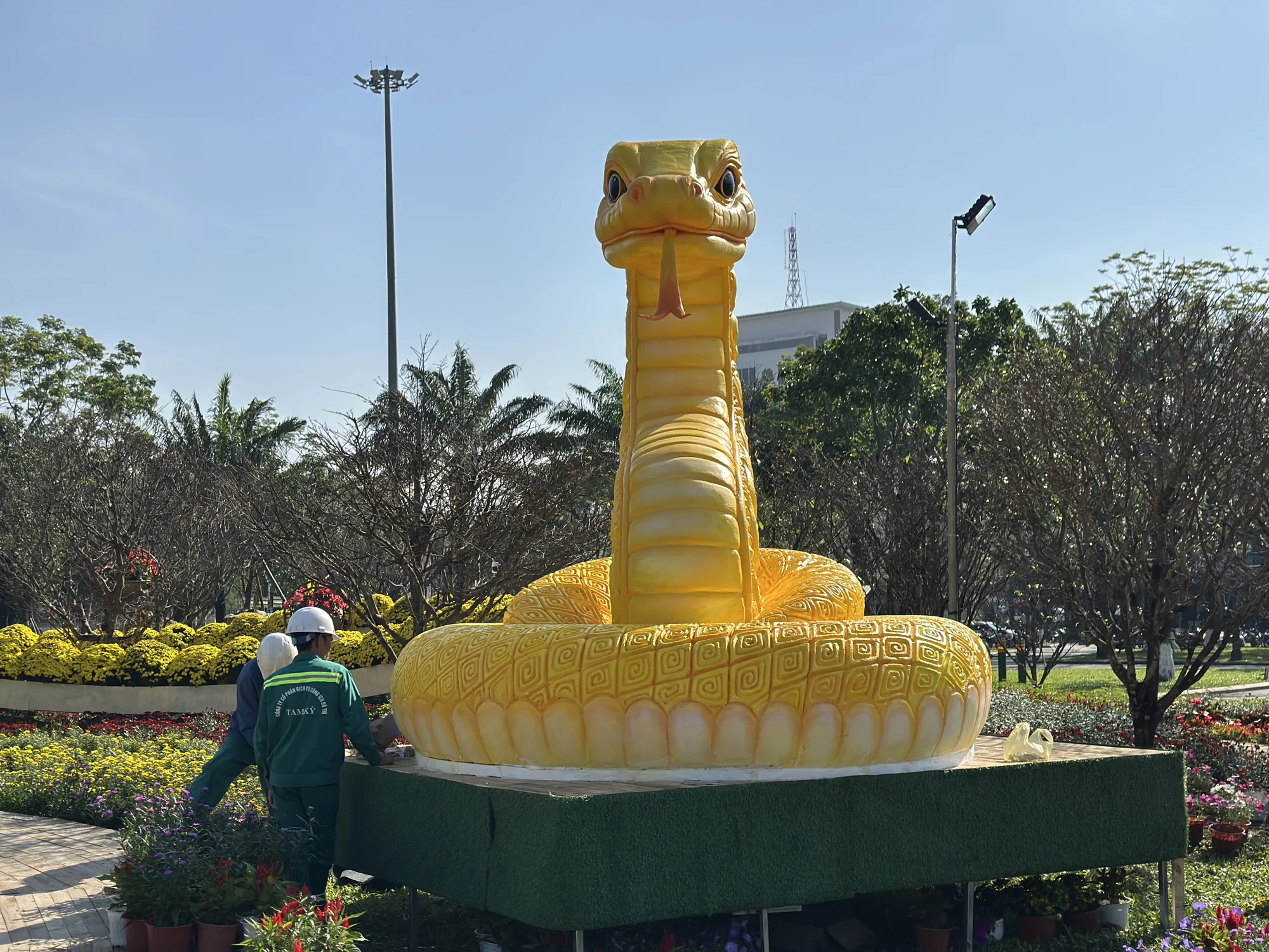 ran-vang-quang-nam-lo-dien-Quang-truong-Tam-Ky-ruc-sac-xuan-5.JPG