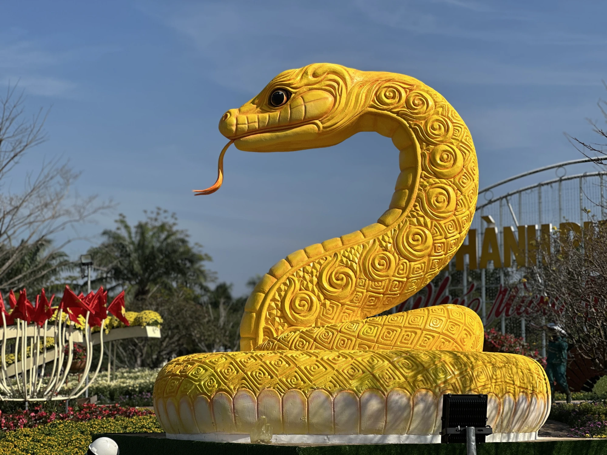 ran-vang-quang-nam-lo-dien-Quang-truong-Tam-Ky-ruc-sac-xuan-7.jpg
