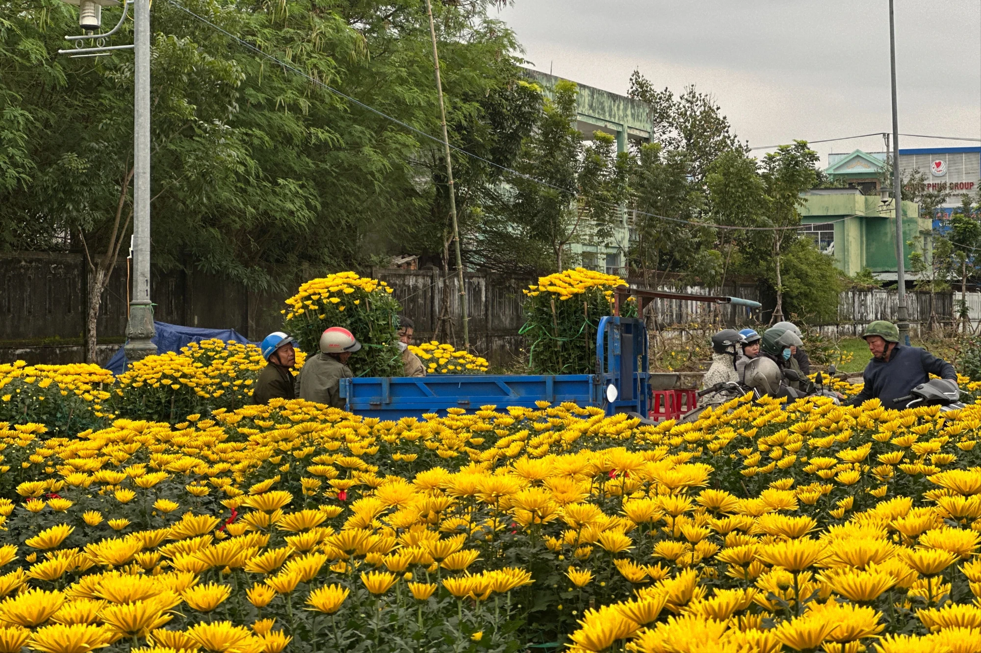 Hoa Tết vắng người mua, tiểu thương nóng ruột xả hàng