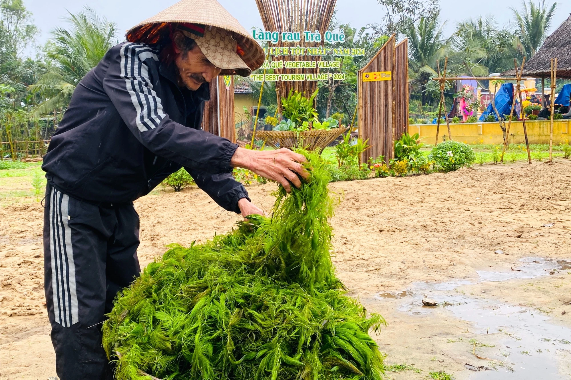khach-tay-doi-mua-tham-du-le-hoi-cau-bong-o-hoi-an-1.JPG