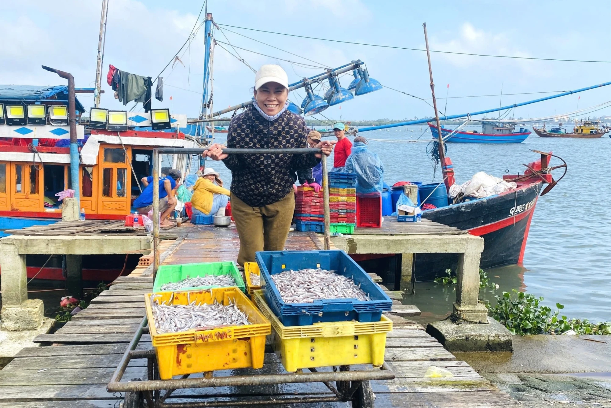 Trúng đậm cá cơm, ngư dân Quảng Nam bỏ túi tiền triệu mỗi ngày